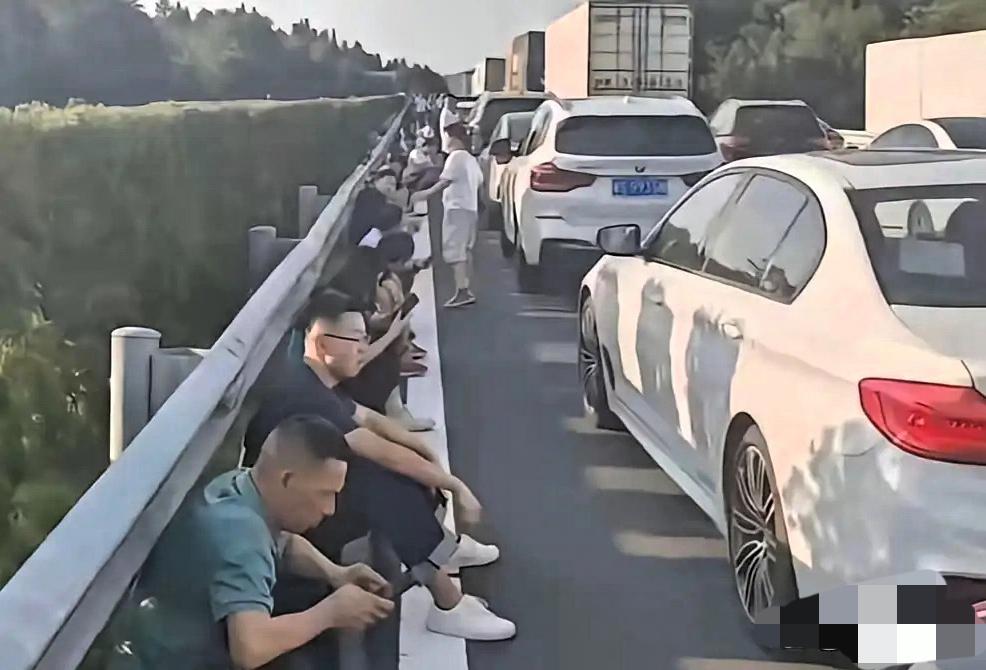 高速路上的都是卧龙凤雏，彼此预判了彼此的预判
没想到今年是30号就堵上了，去年1