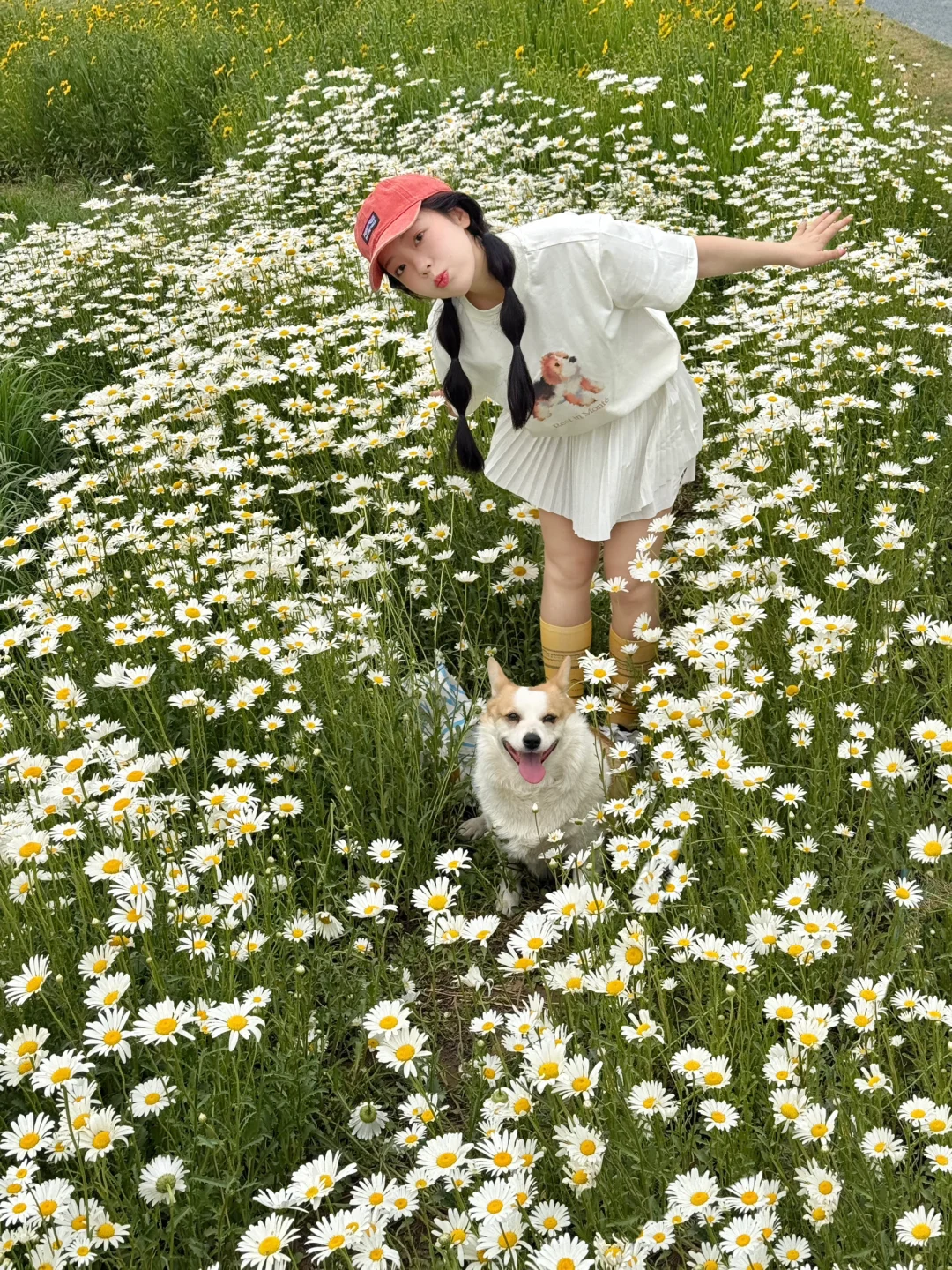 太美了❗️西安20min直达大草坪油画公园🌼
