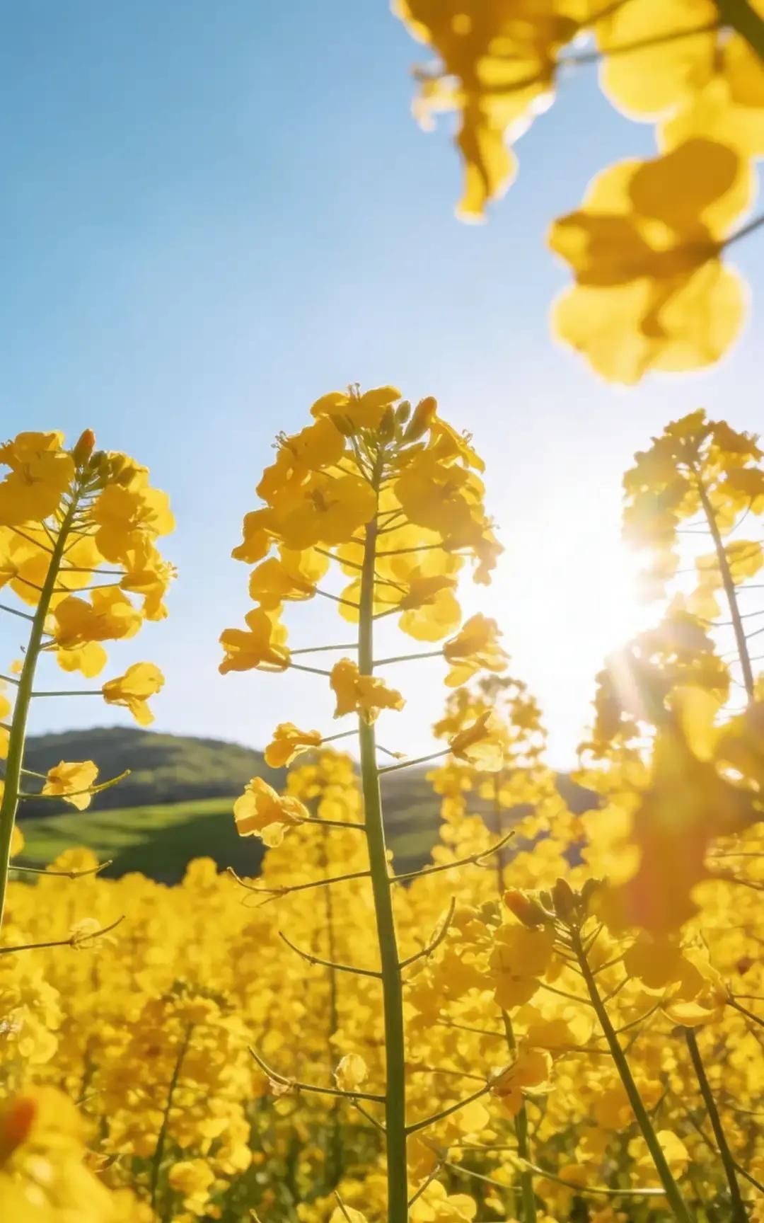 别人帮了我，我第二天就拎着两盒老婆做的蛋黄酥杀到他家楼下。
东西不值钱，油纸上还