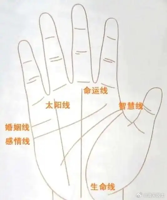 感情会旧人不断的手相；命运线中间断掉，然后又连上，或者有分叉合拢命运线就是手掌中