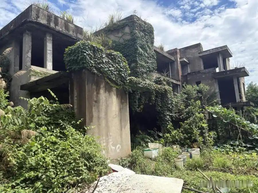 杭州临安荒废17年别墅470万成交，单价约1万/㎡！捡漏还是踩大坑？

最近，杭