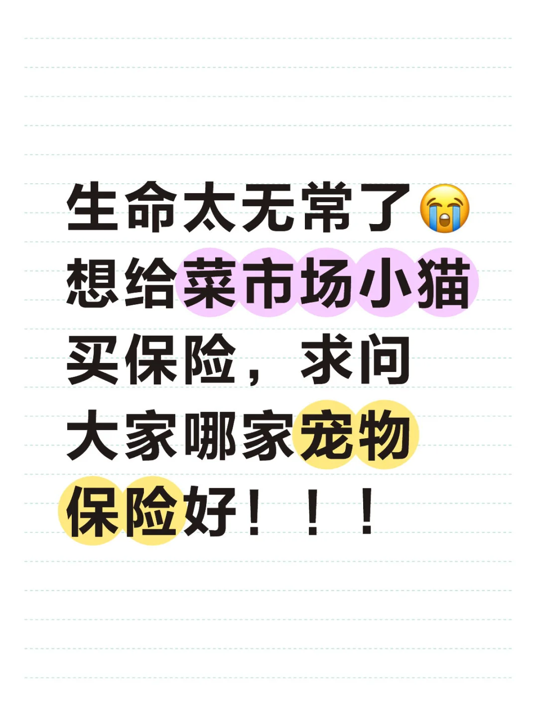 求推荐宠物保险！！