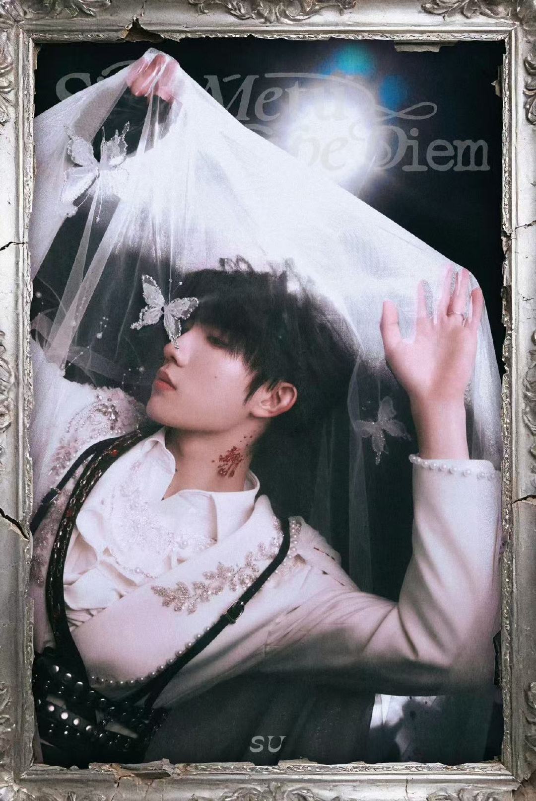 TOP头纱造型TOP头纱 TOP头纱 