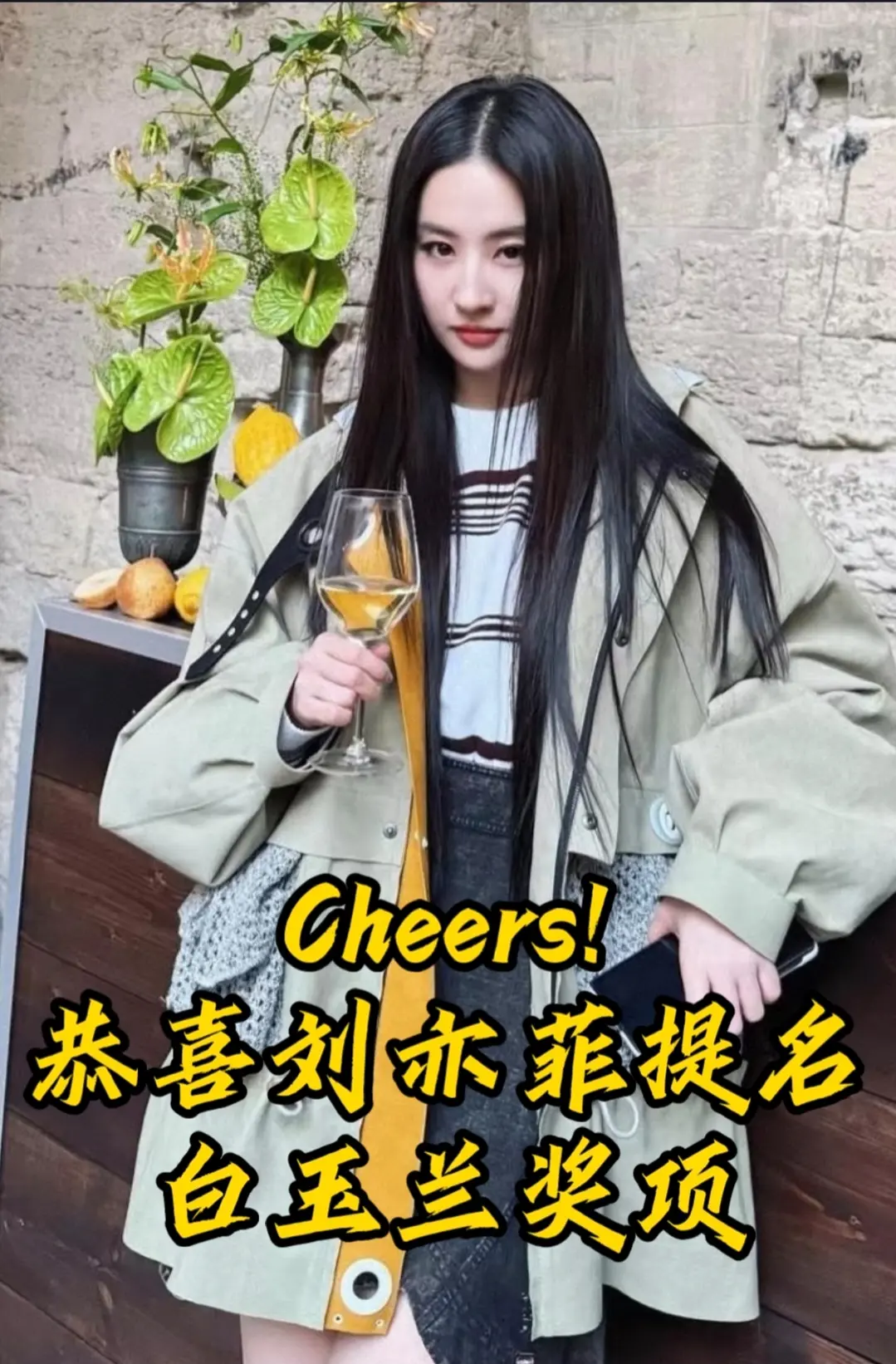 Cheers!恭喜刘亦菲提名白玉兰奖项。恭喜刘亦菲提名白玉兰奖项