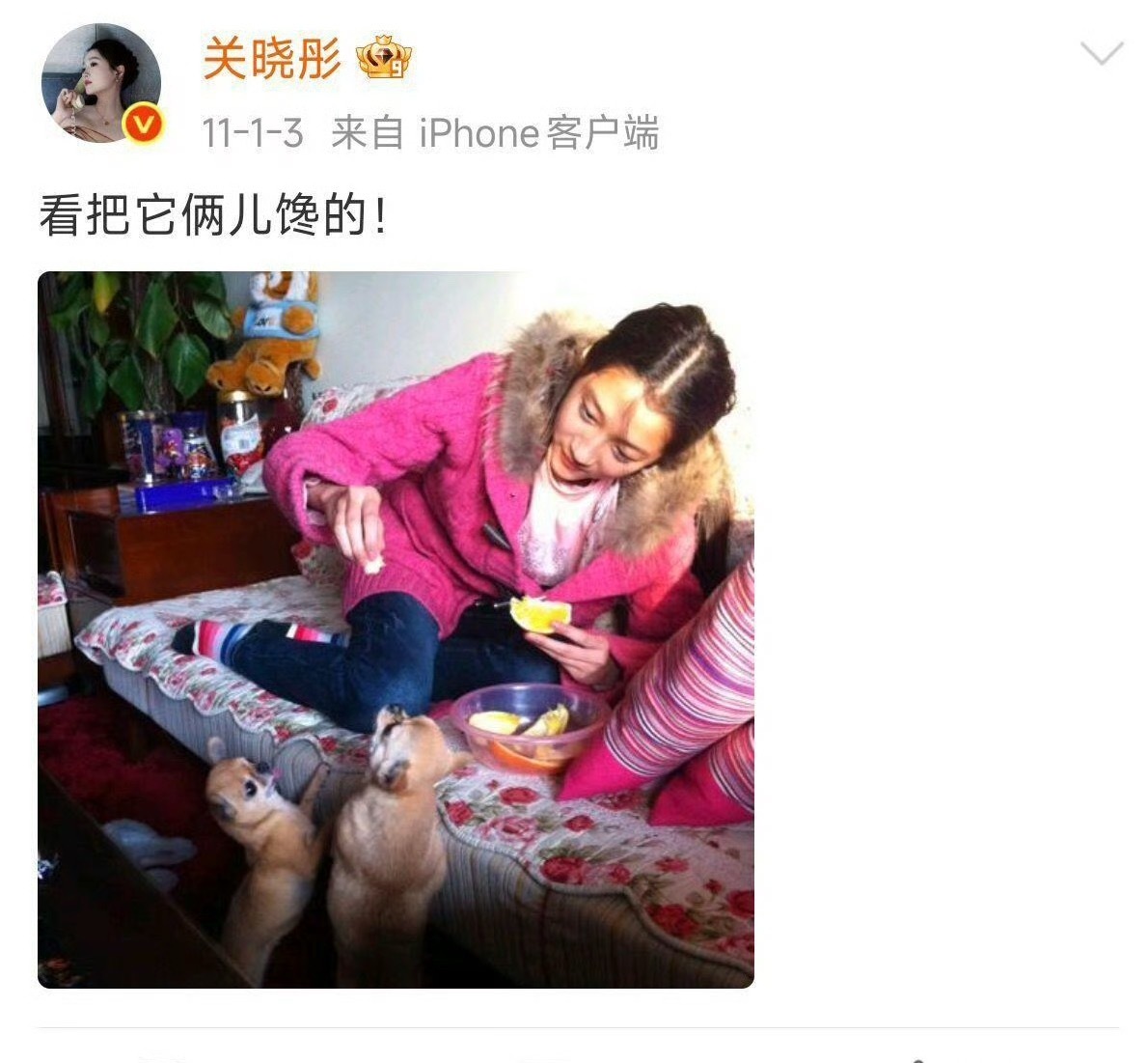 考古关晓彤早期微博国民闺女不是开玩笑的 从小就在演艺圈里长大 成长在每个人的眼里