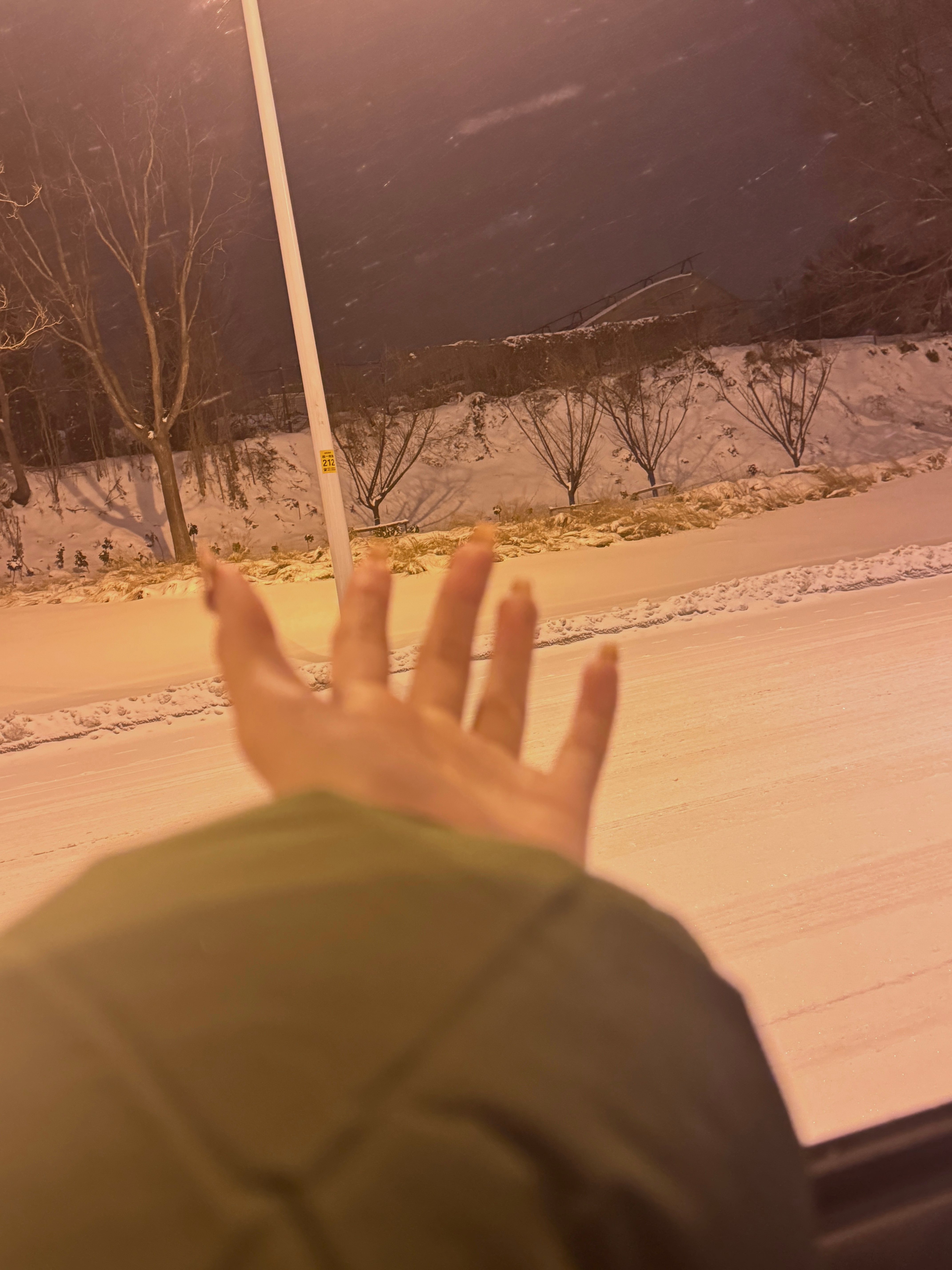 应该是这个冬天最后一场雪了 ​​​