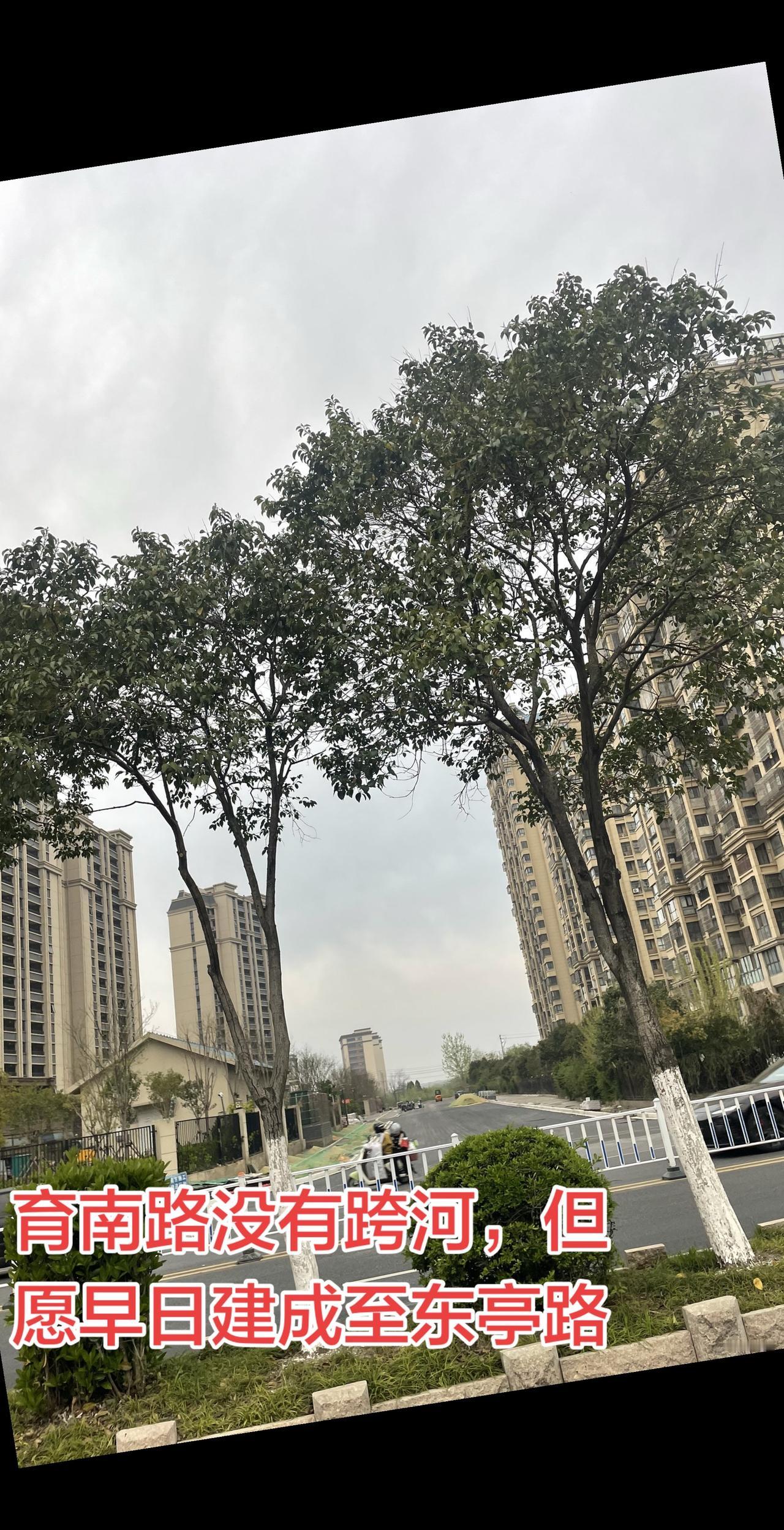 育南路没有跨河，但愿早日建成至东亭路，使得交通真正的循环起来，江苏省东台市