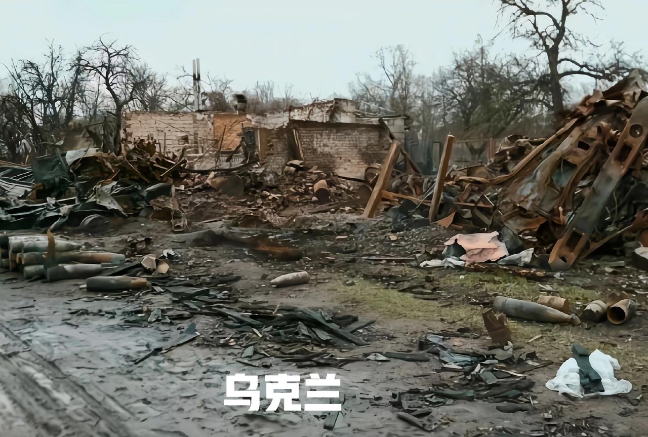 在俄乌冲突、巴以冲突的大背景下，聚焦乌克兰的一隅、巴勒斯坦的一角。
当许多人还在