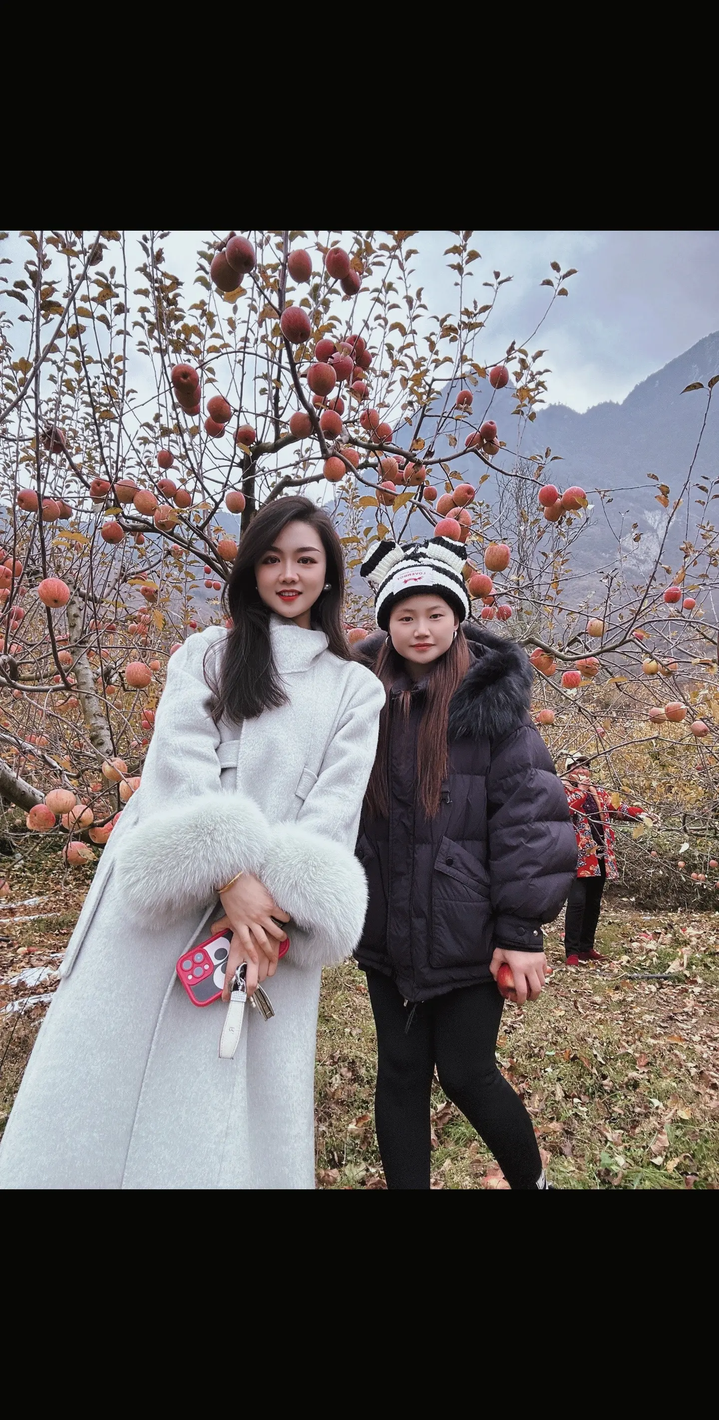 苹果味的一天 ，自己摘的苹果比较甜 。🍎