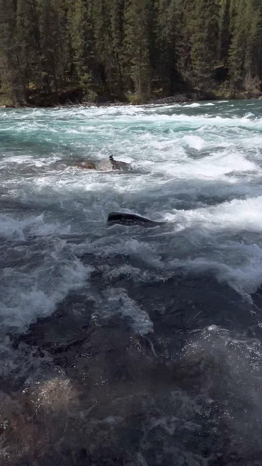 平民子弟想要想要破局飞跃 必须遵循六大黄金定律 这些是父母和学校都不教...