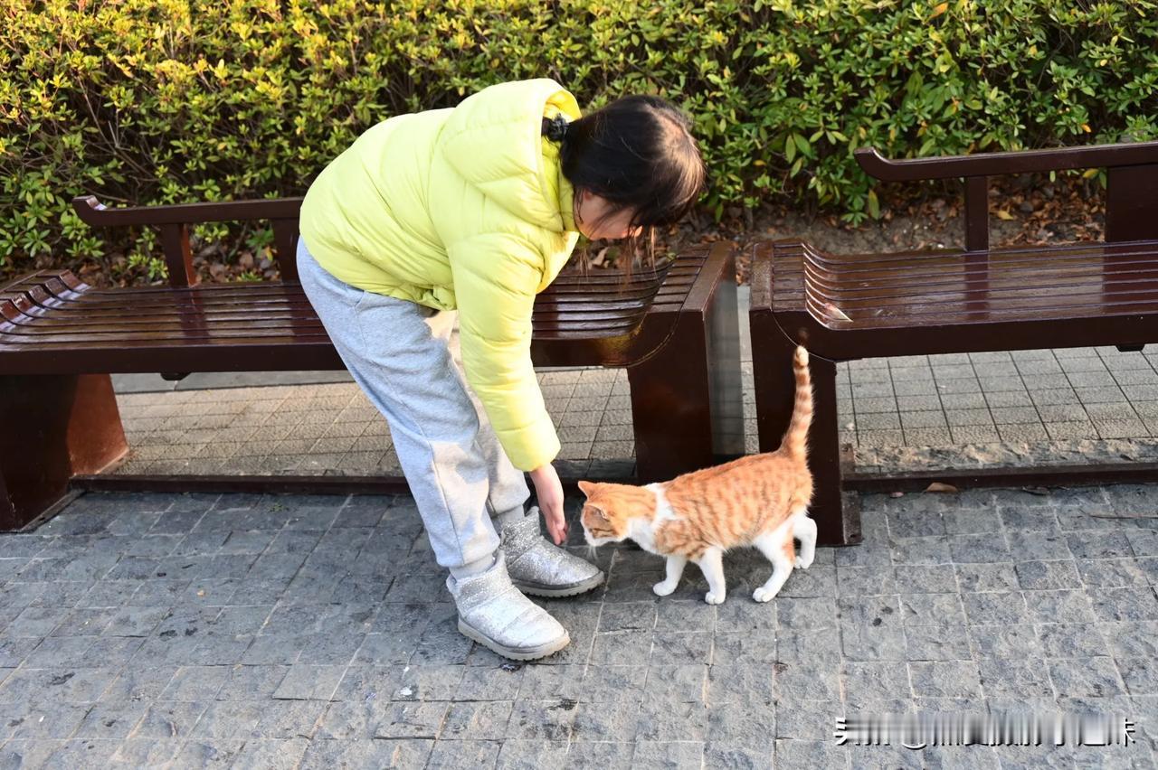 猫咪是我们好朋友