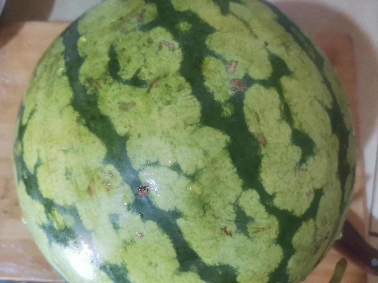 今天我妈买了一个西瓜，六毛一斤，花了十元钱。

中午，我妈说将西瓜从中间切开，中