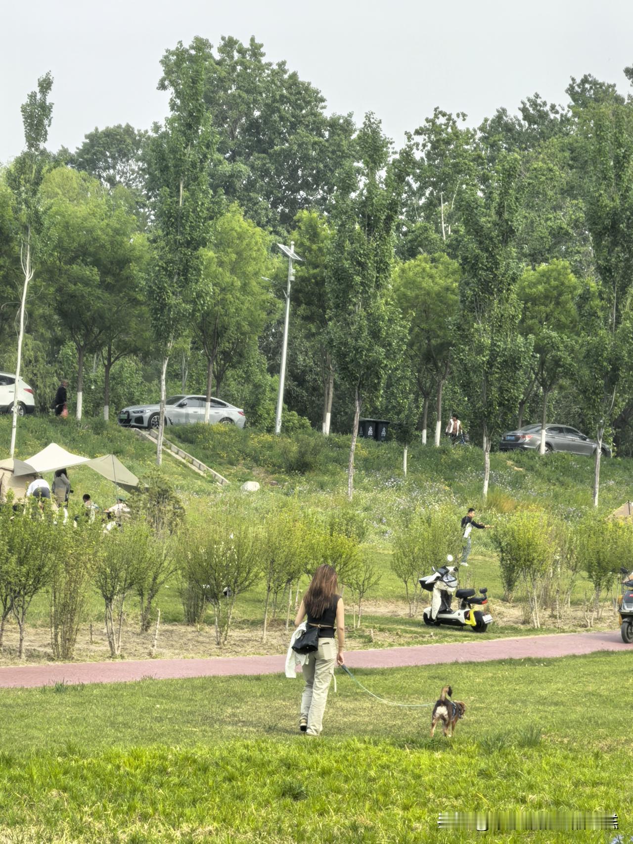 人生本就是一场盛大的旅程，不必日日奔赴绿水青山、花团锦簇。
学会把生活里的不堪与