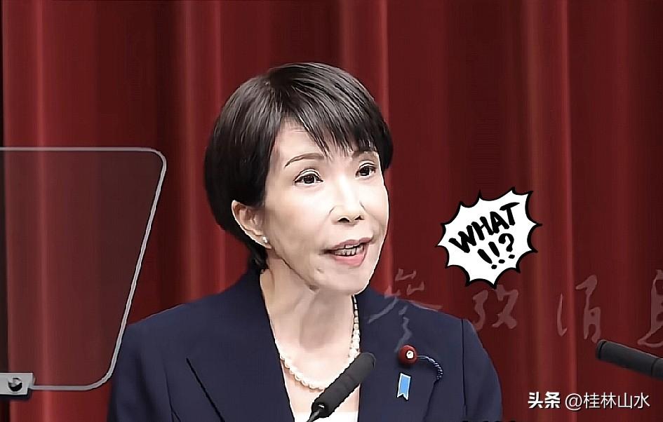 高市早苗在记者会上的发言掷地有声，她直言不讳地说：“日本急需稀土资源。只有拥有美
