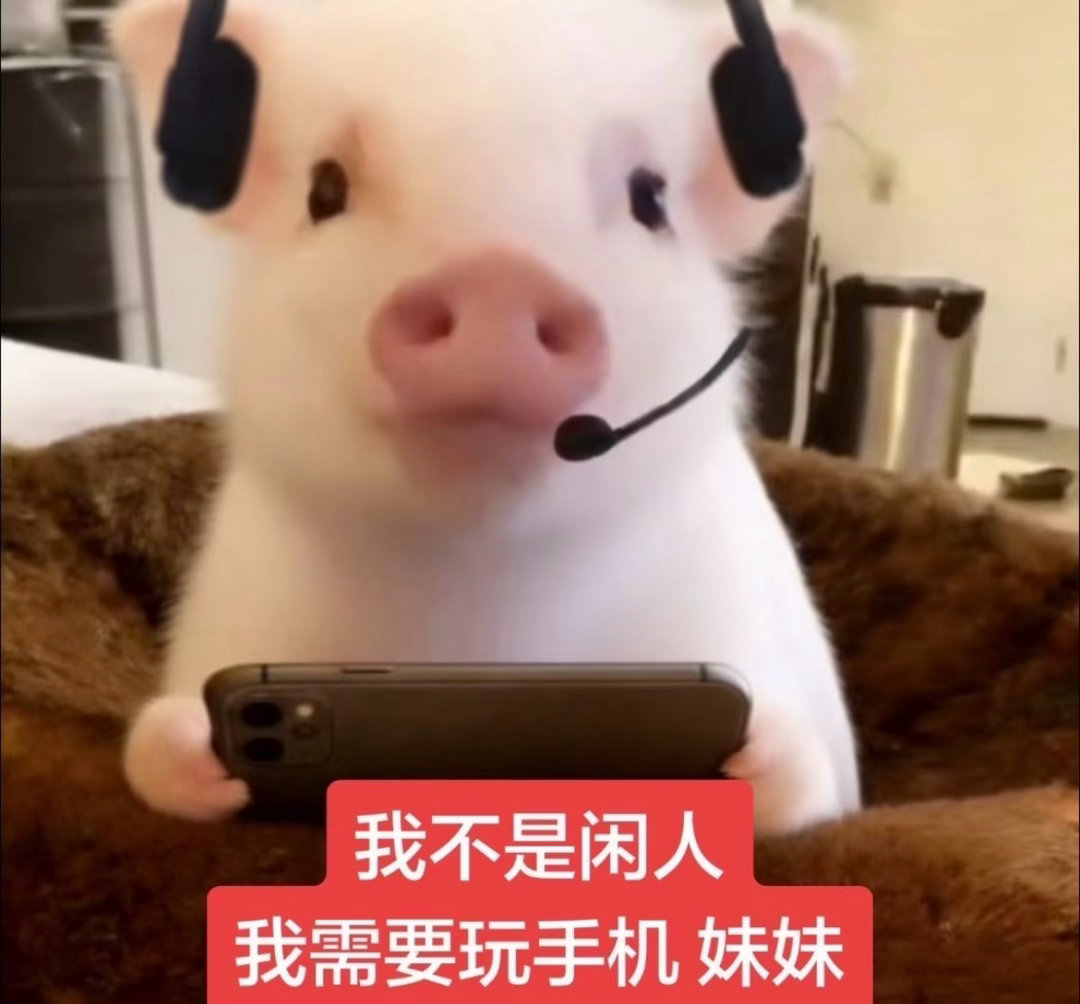药儿下周去打卡百京奶茶有无推荐，美食俺也要