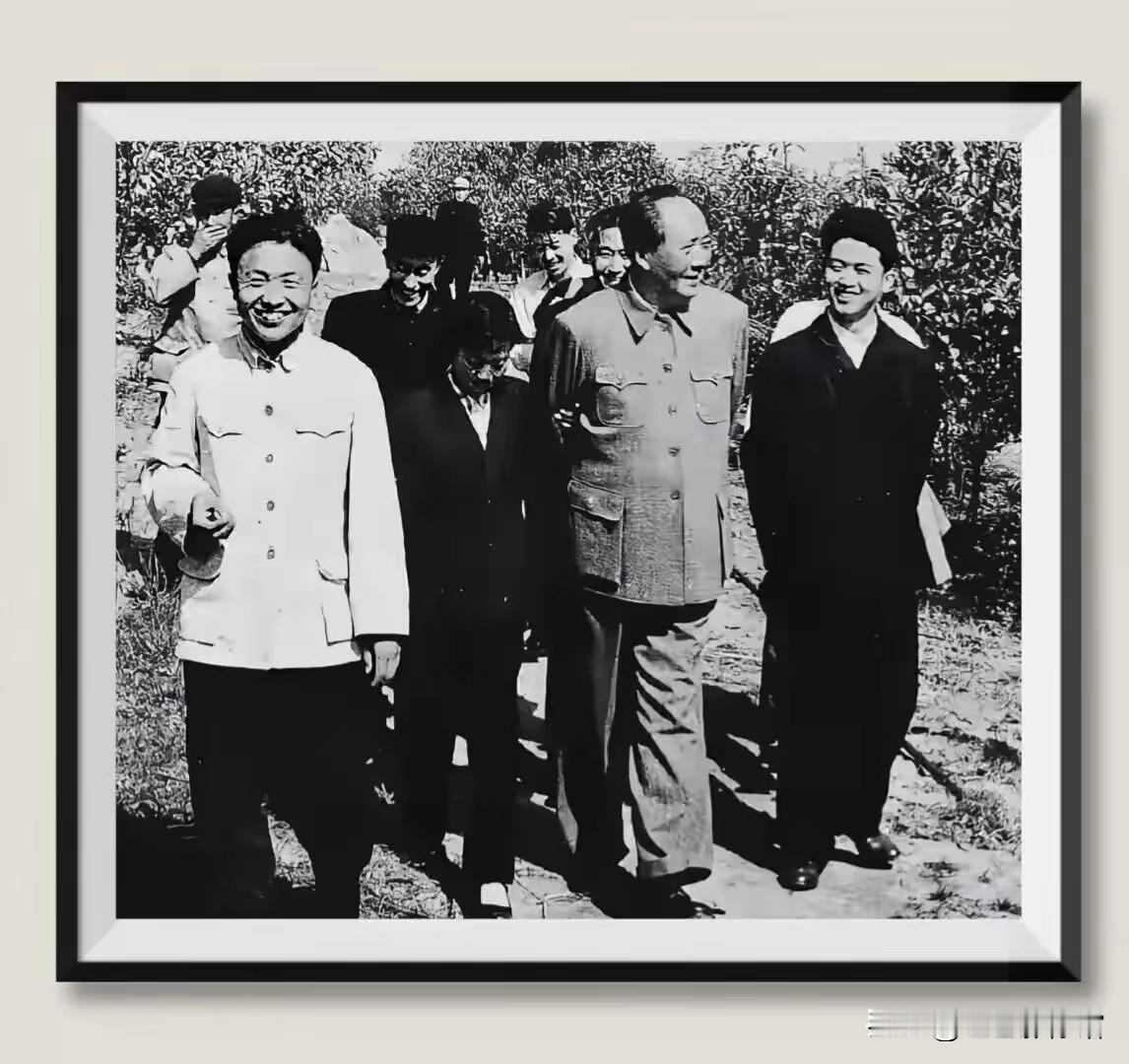 一代伟人毛主席和蔼可亲[玫瑰]