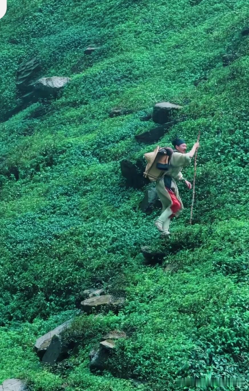 看！
真有人会，
“竹杖芒鞋轻胜马”，
他却不敢，
“细雨骑驴入剑门”！
所以，