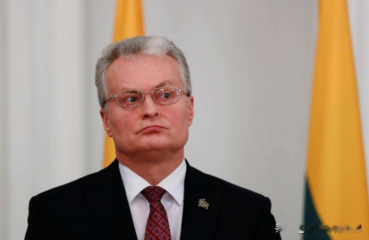 立陶宛考虑将中国移出“黑名单”。瑙塞达这是开窍了？

2023年，立陶宛发布“不