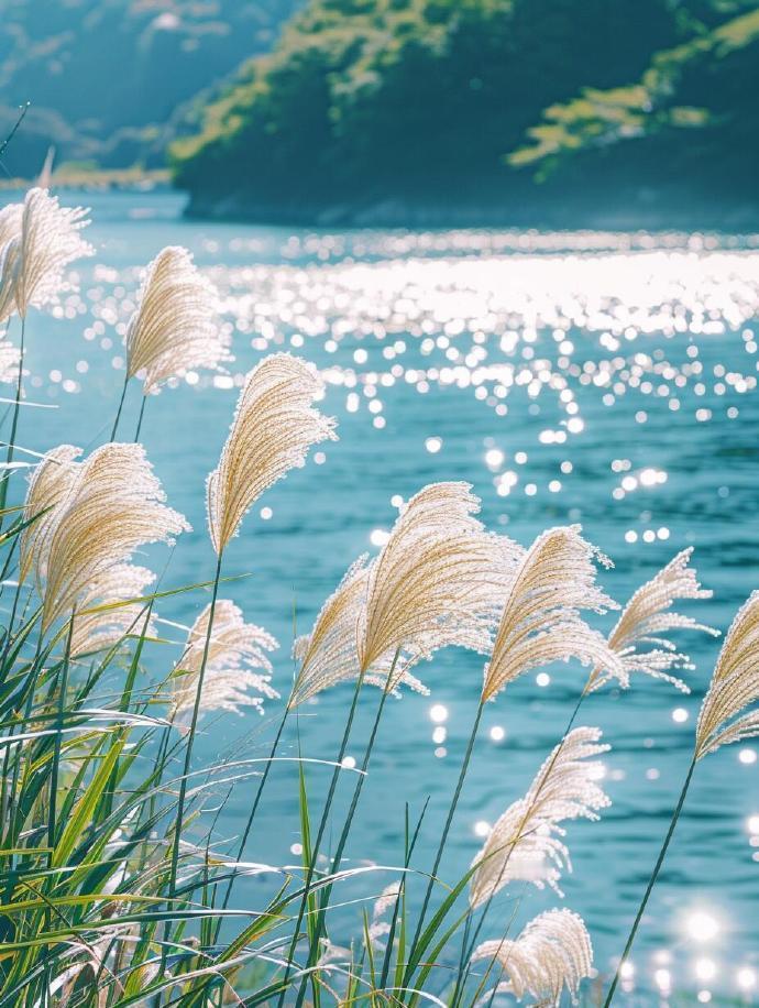 " 川原秋色静，芦苇晚风鸣 ... "