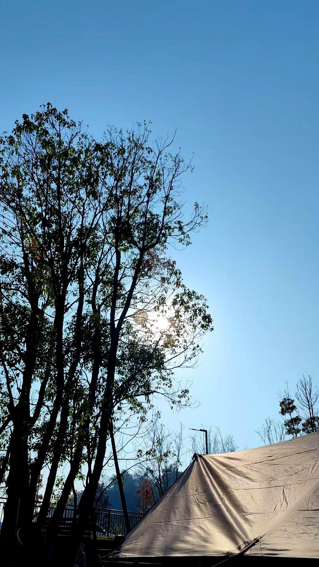 体质就相对要弱点，
 

以前总看见他哈欠连天，在工位上撑着头处理文件。
 
