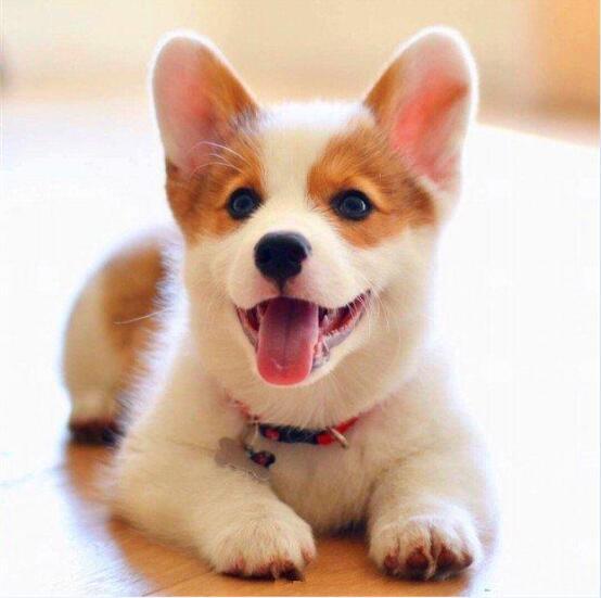 发现一个很有趣的现象，很多人已经不习惯打电话沟通了，也有通过发语音聊天的，更多的