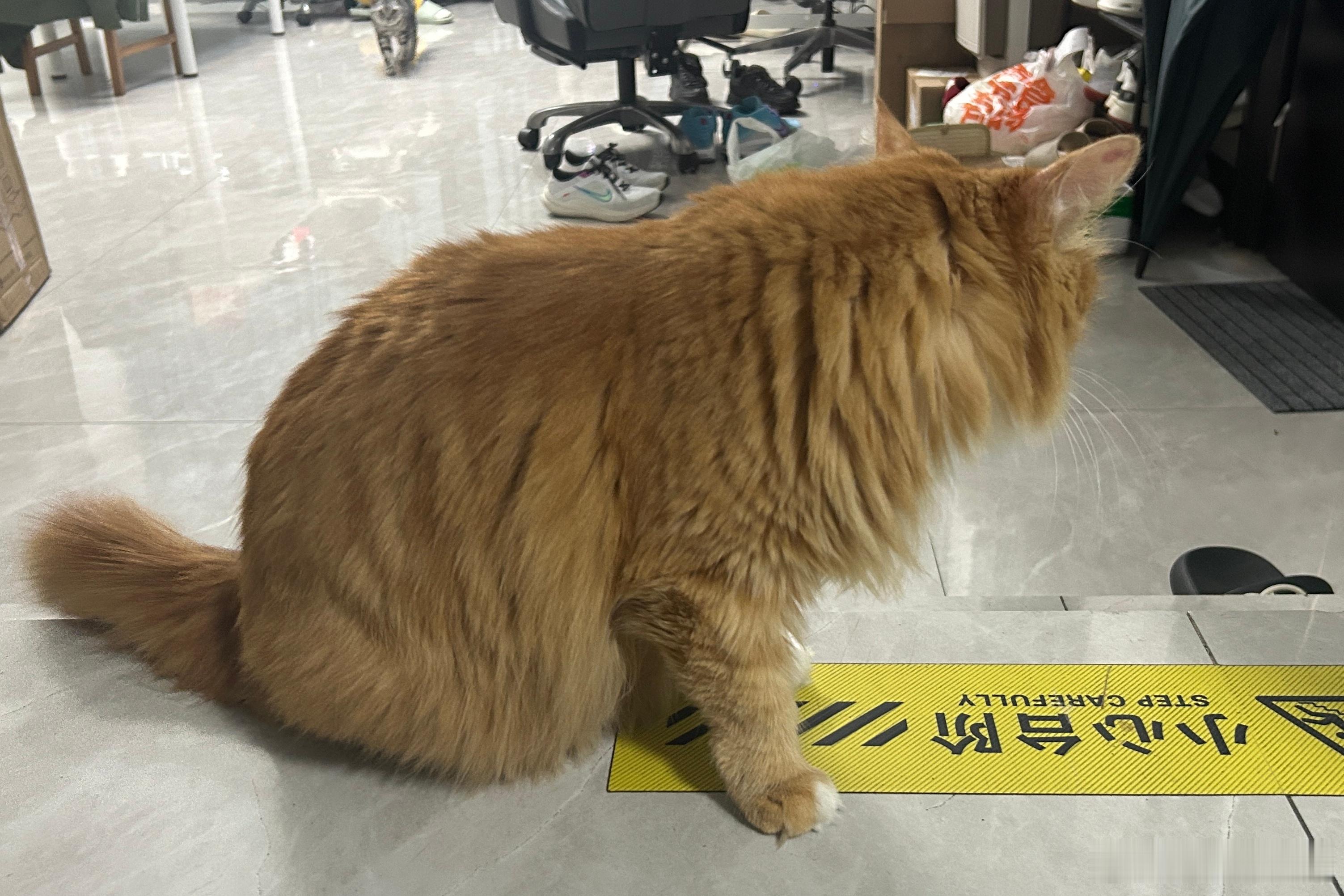 mono豿豿