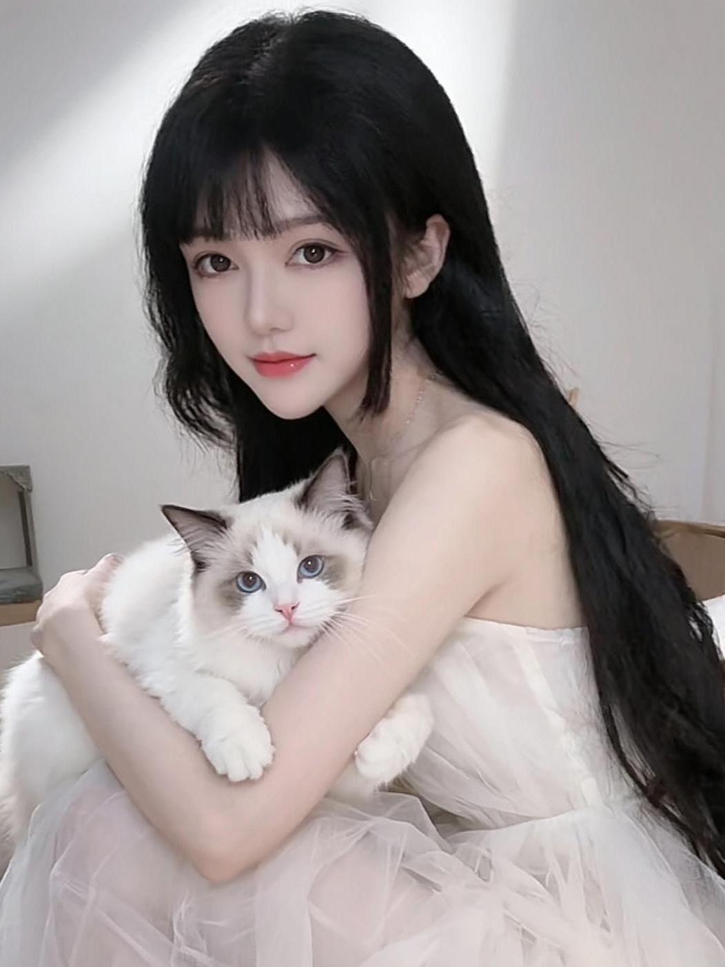 AI猫系少女照