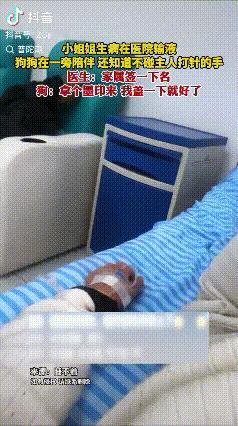 “人类最忠诚的朋友”！四川，女子生病在医院输液，狗狗在一旁的沙发上守护着主人，并