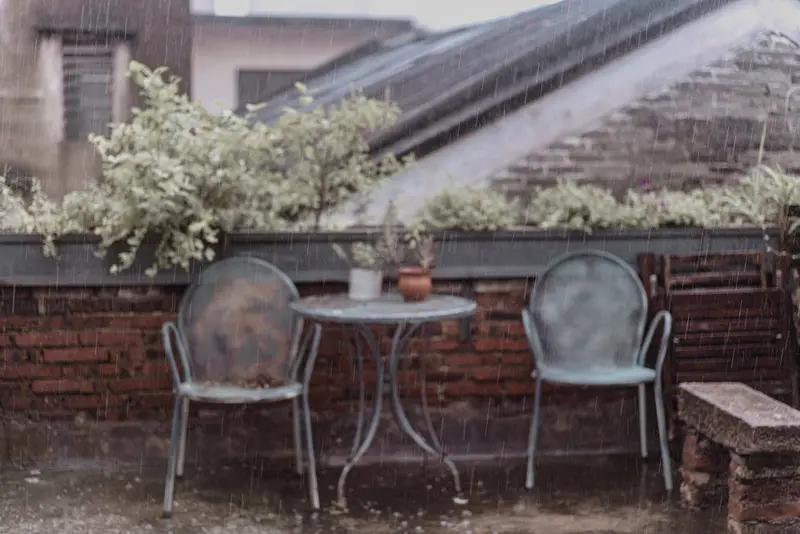 雨天的慈悲

雨是忽然就落下来的。

我坐在廊下，看那些晶亮的珠子一串串断了线似
