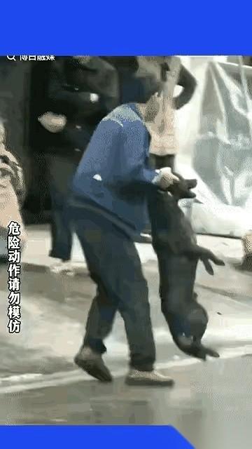 胳膊上挂着血，手里还死死拽着一条大狗。
那个大哥，就那么忍着剧痛，把一条发了疯的