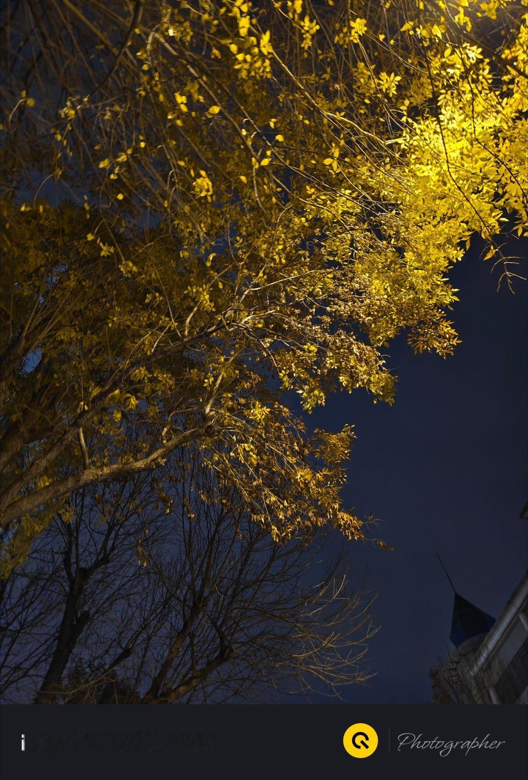 天黑的很早了 ​​​