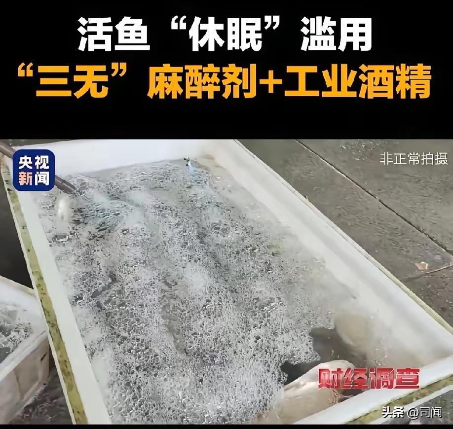 大快人心！
据媒体报道，山东临沂“活鱼麻醉”涉事商户被立案调查
这样的结果，虽然