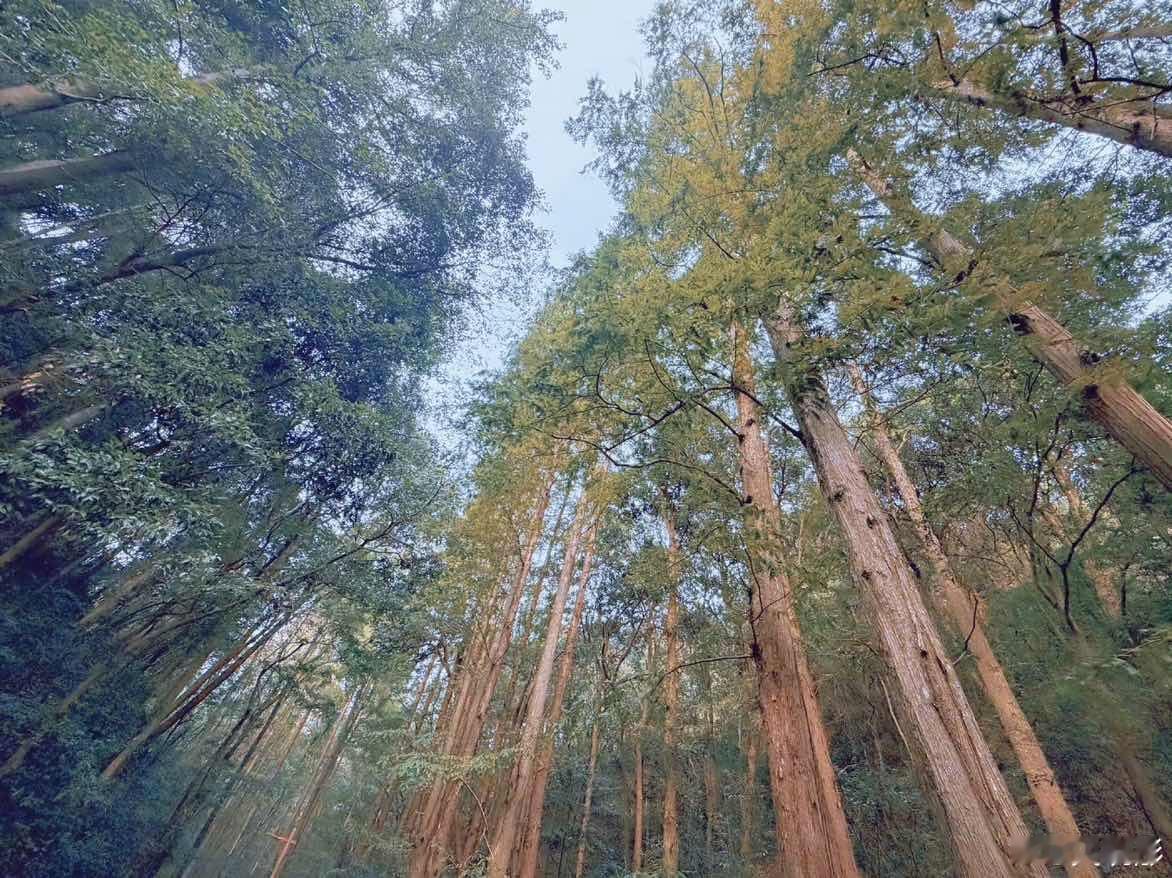 娱乐[超话]关晓彤晒学打网球 ​​​关晓彤学打网球plog 超级自律的晓彤～ ​
