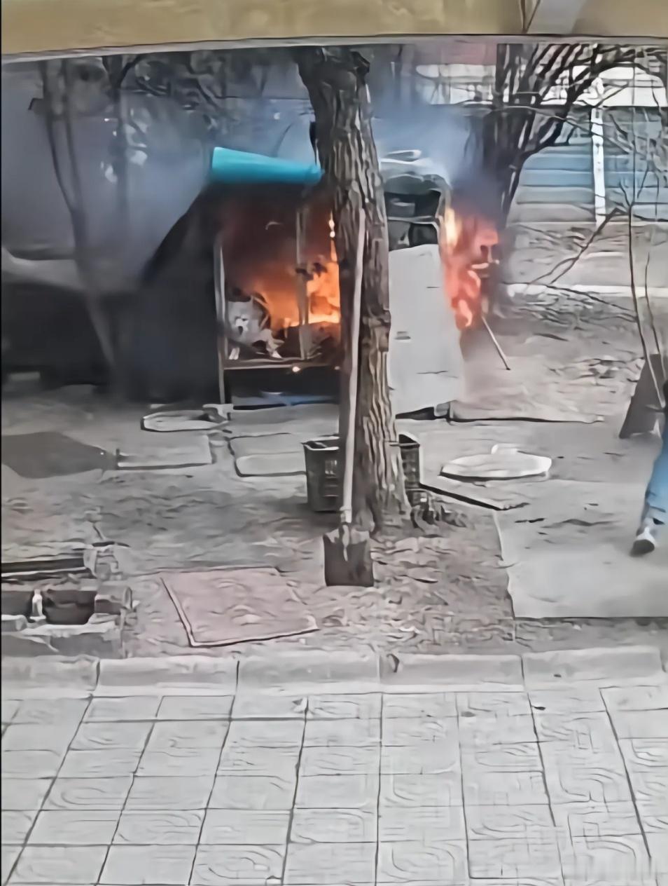 两男孩玩火烧死萨摩耶狗主人发声  这个事情还是刚刚刷dy看到有博主为萨摩耶发声才