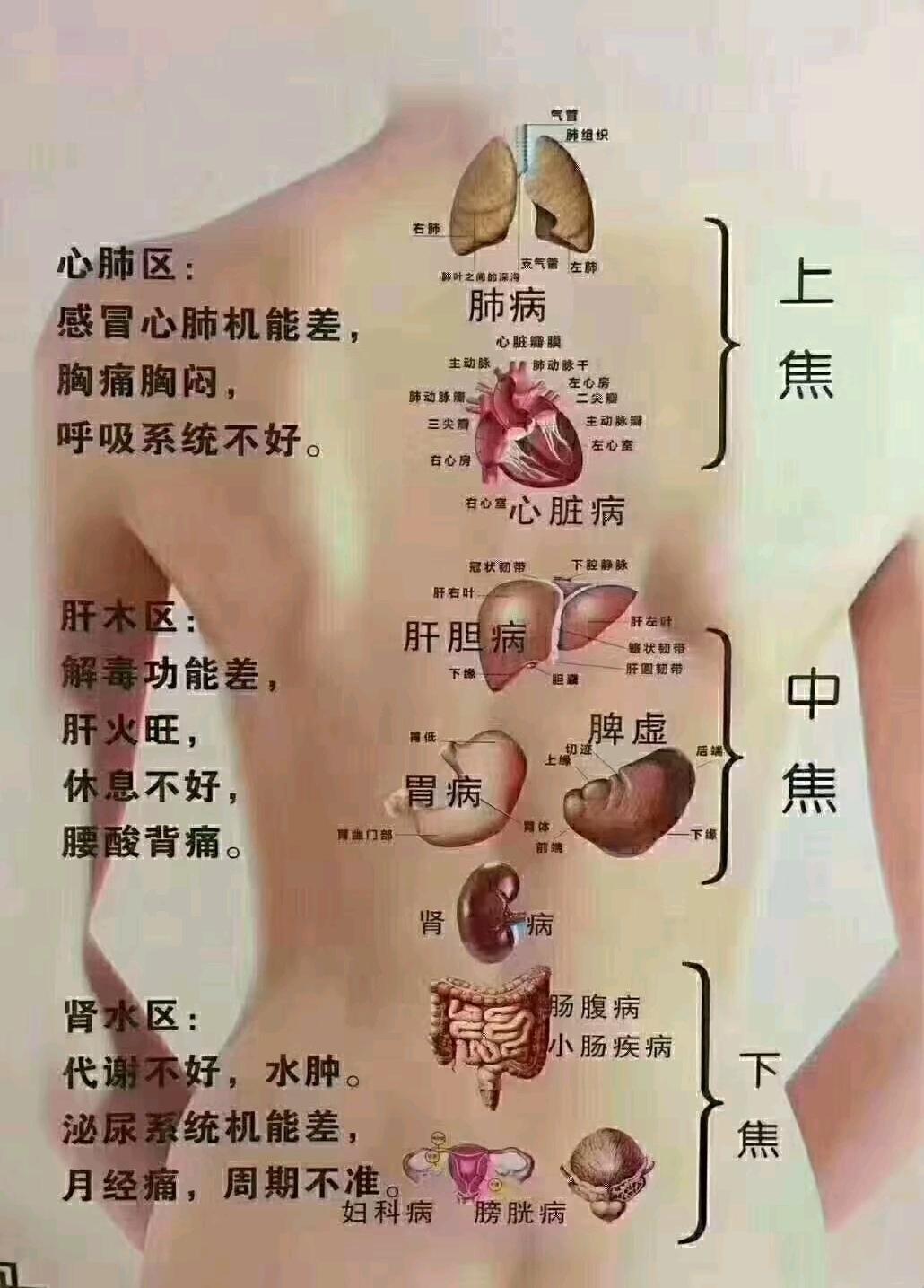 中医养生 健康生活方式 健康养生知识