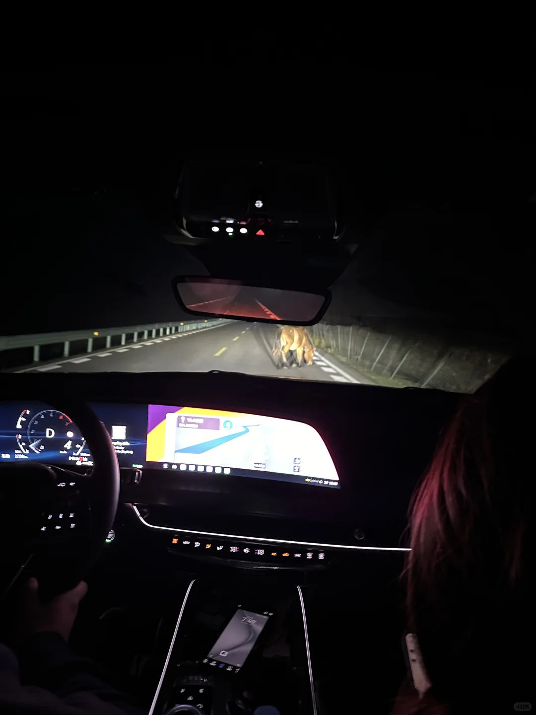 川西自驾真不建议走夜路差一点出大事