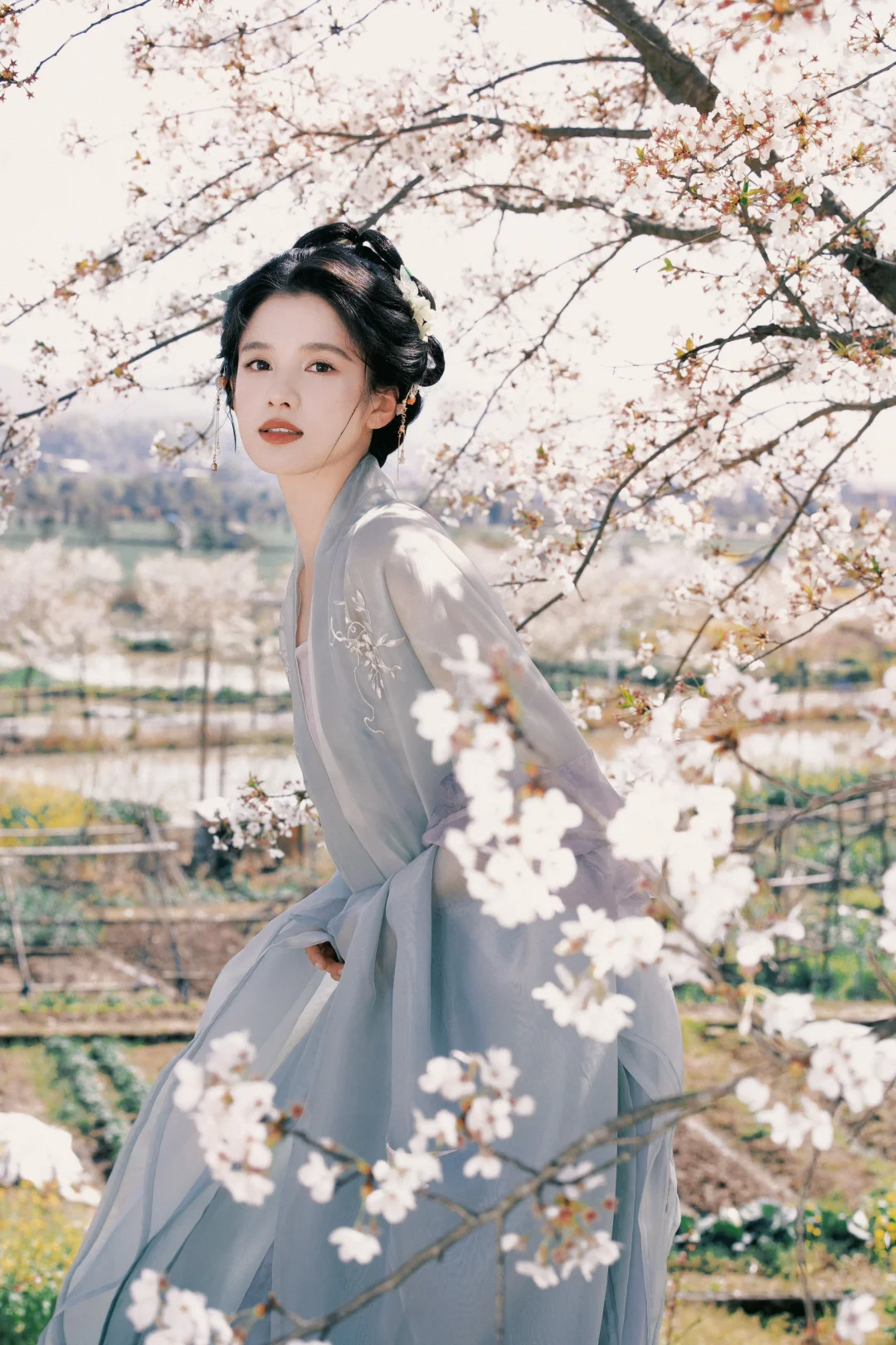 张婧仪 壁纸