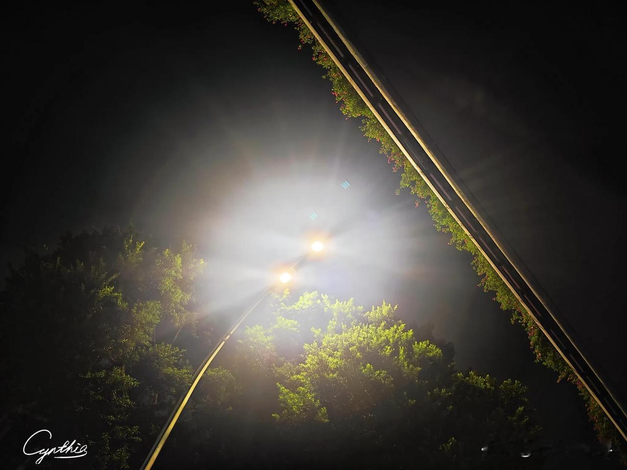 周五·周末：下班高峰时段，进出城高峰时段。

 
  
#秋日生活打卡#