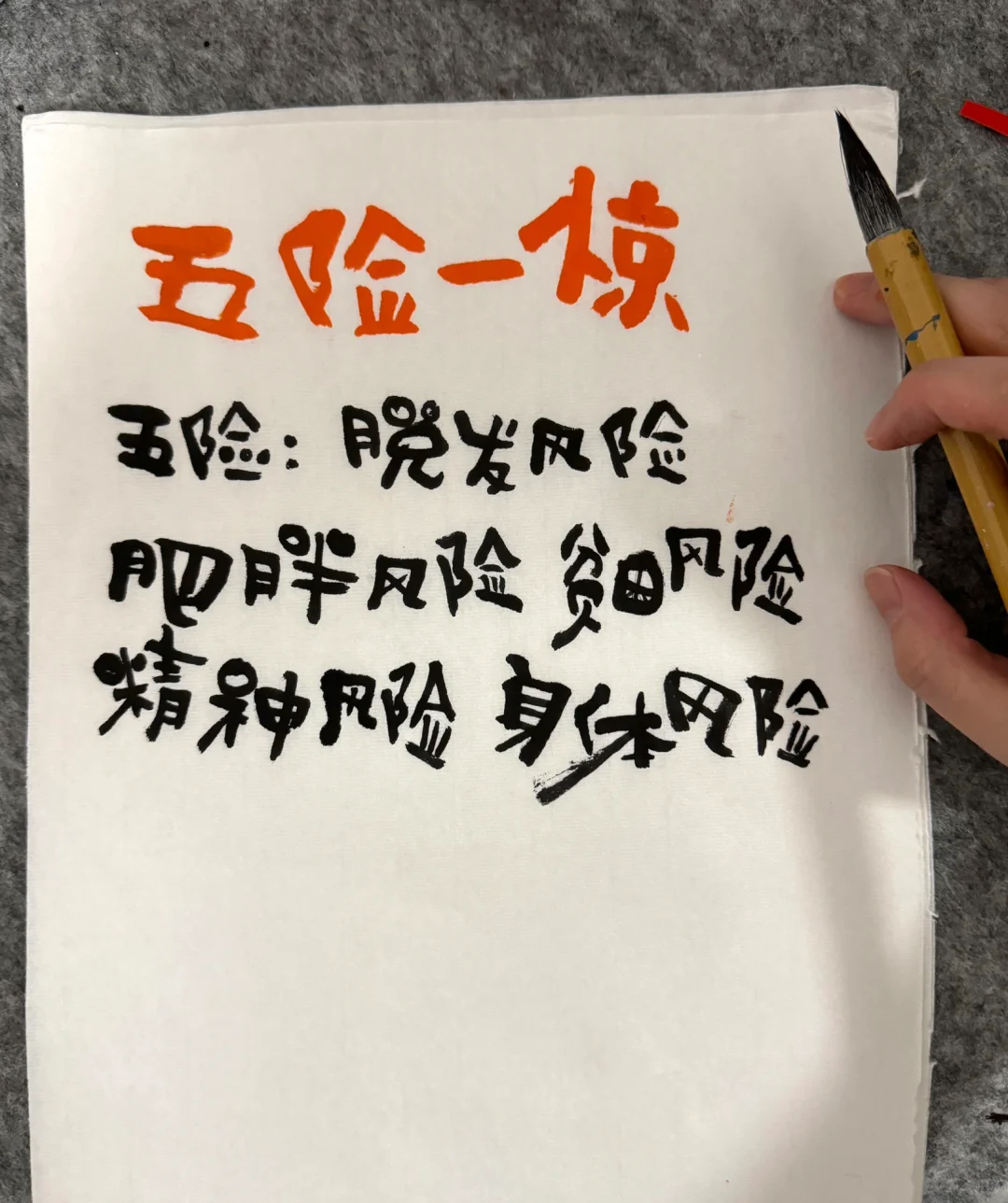 《年轻人有自己的五险一惊》