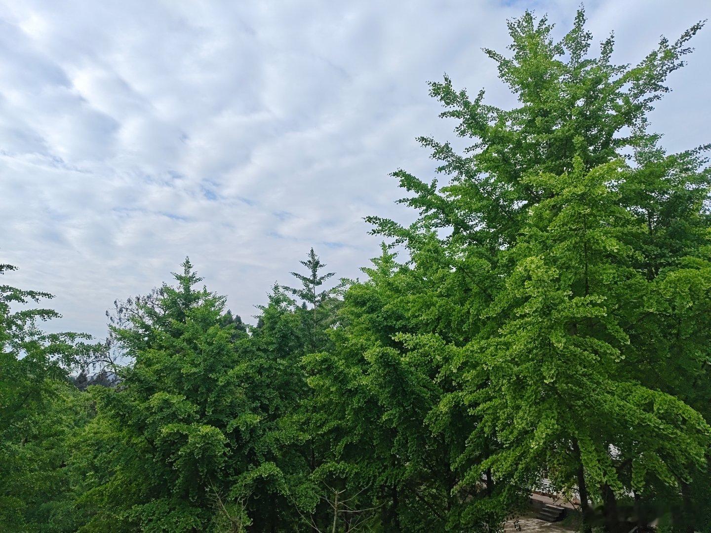 杂活太多了，吃点好的补补！ 