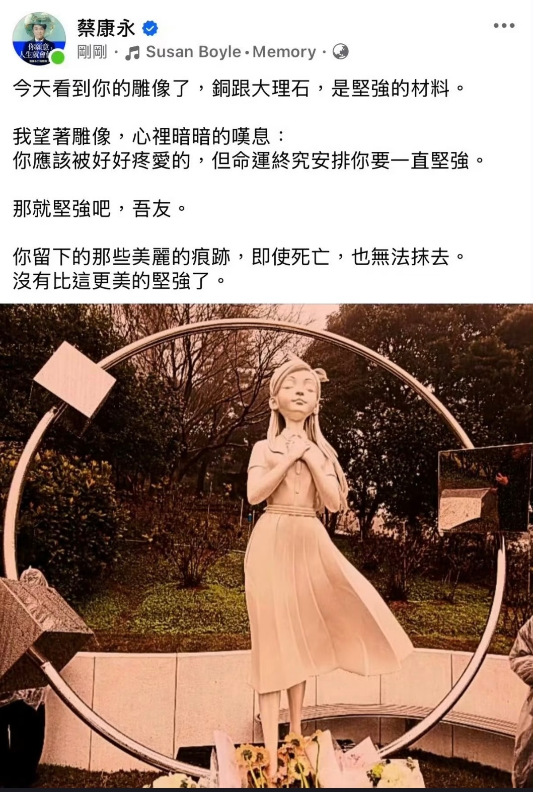 时间过得好快啊 这一年看了好多大S的切片  一个坚强的侠女 