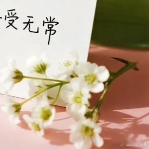 生活手记落落大方，好好生活🌸远离那些让你不开心的人和事🎐愿你的每一天都充满阳