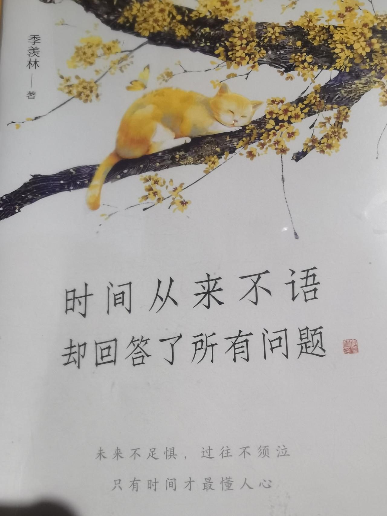 张雪峰的离世，让所有互联网上的大V们都会仔细掂量一下，搏命，值得吗？
