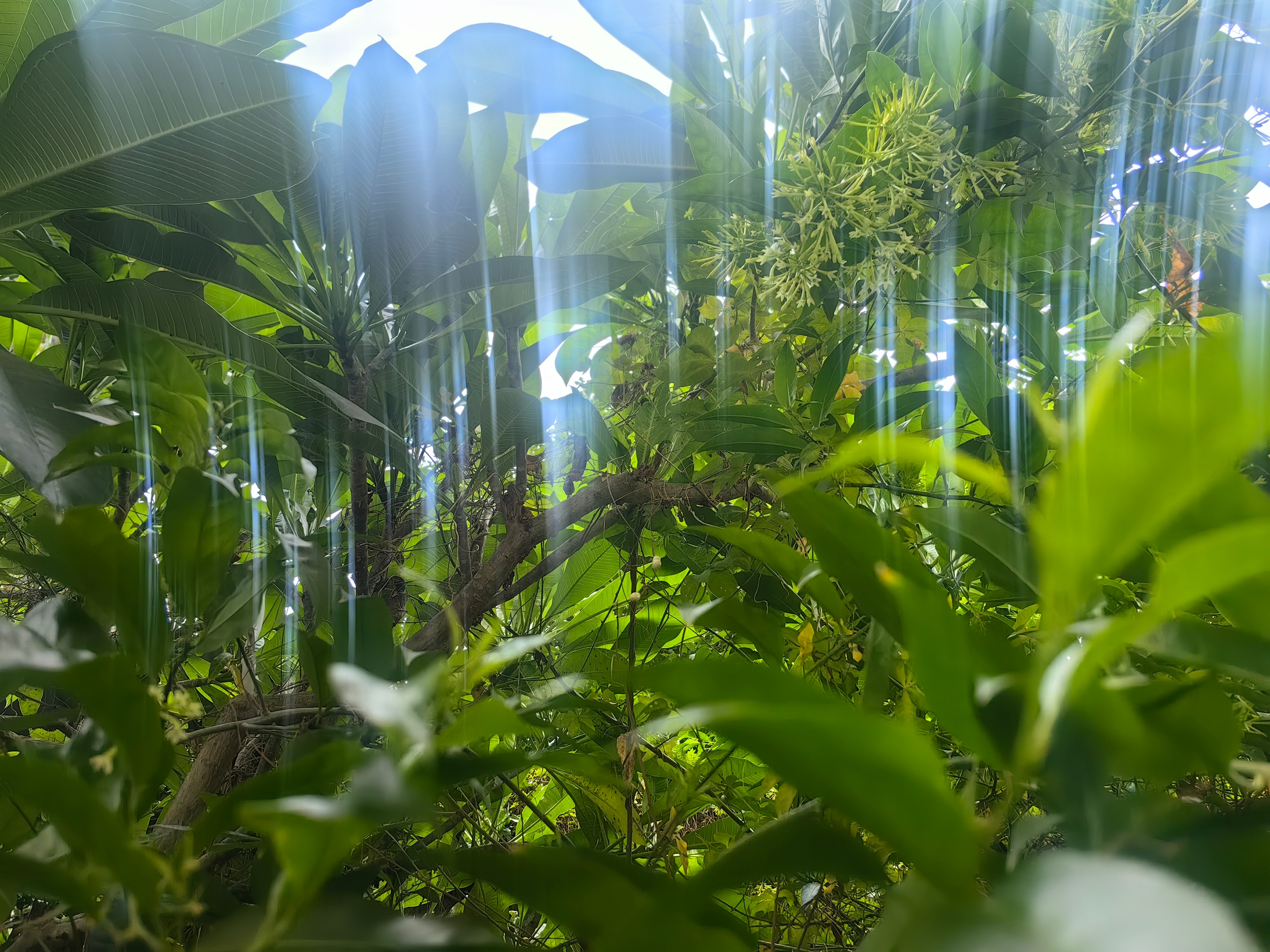 阴天。闷热。 