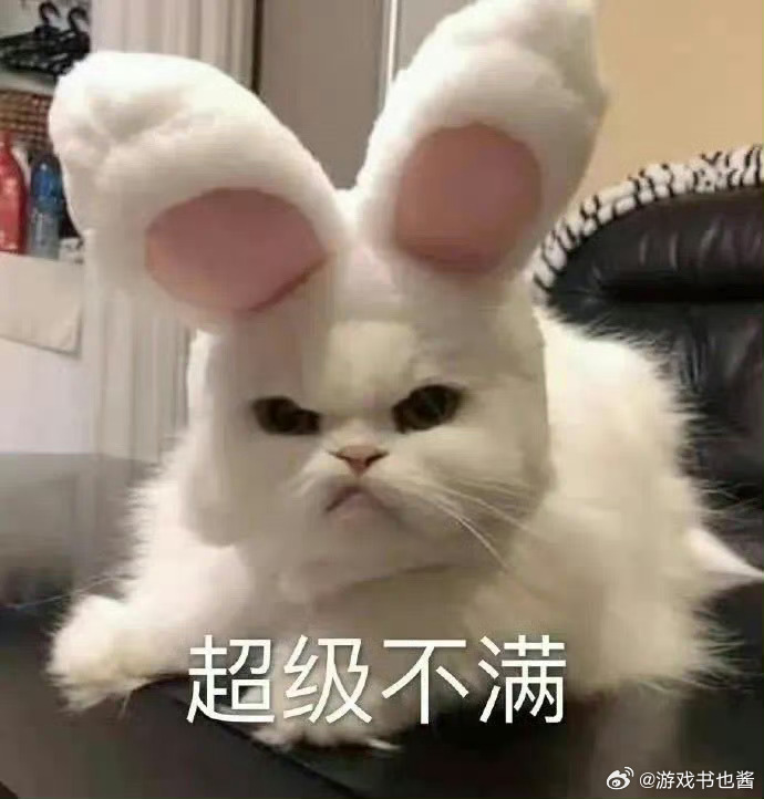对猫动手的人不值得交往而且那句话也让人无语，什么叫做是你们家家教不好，一下子就把