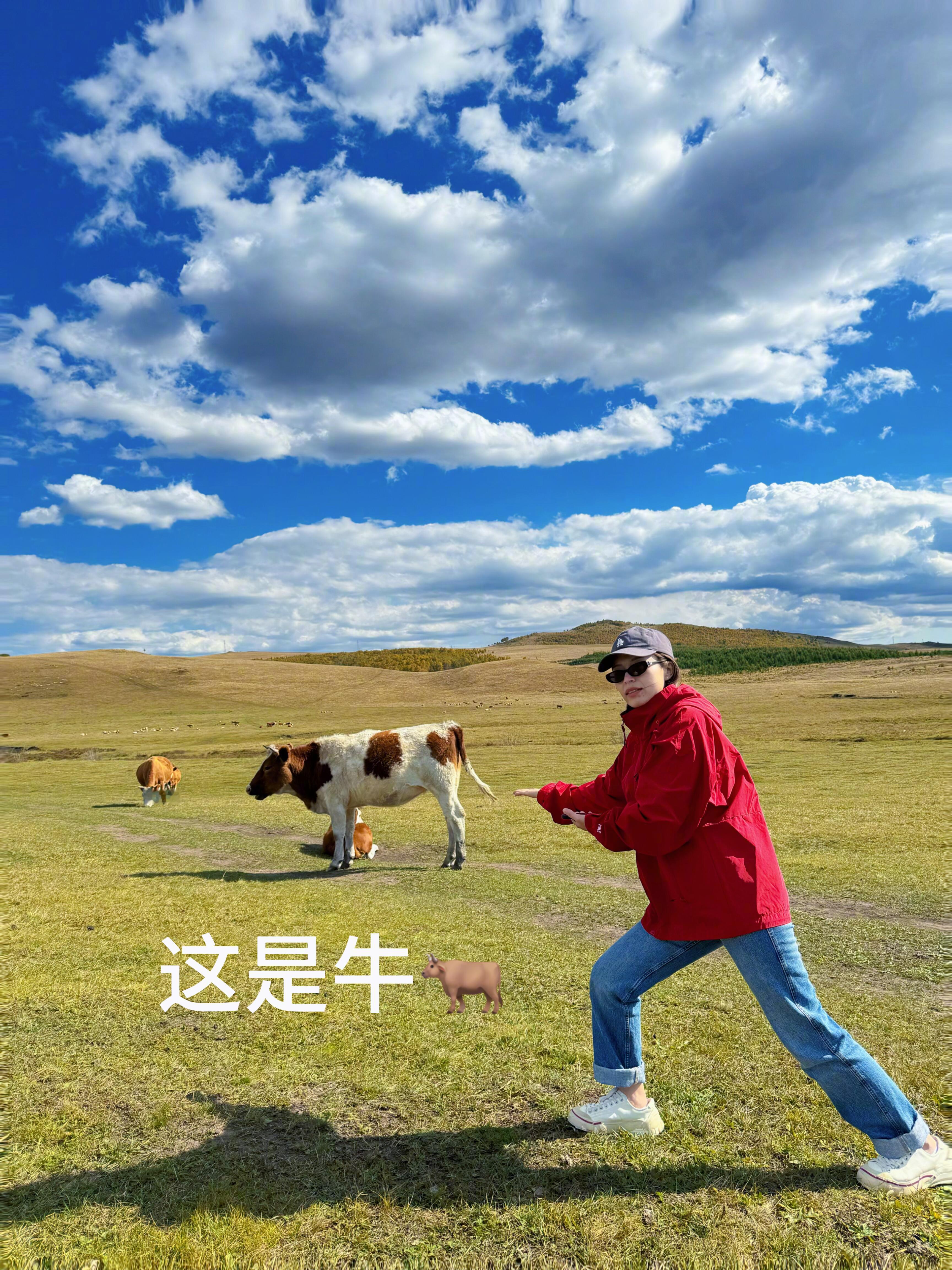 你以为的牛马vs实际上的牛马：只耕春季；打工人：上班一年四季牛马：哞哞哞哞；打工