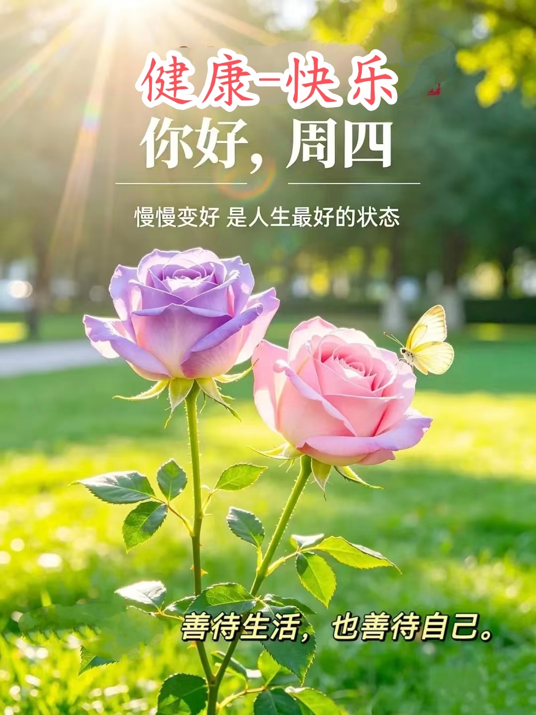 【健康养生】1 ）常按足三里,胜吃老母鸡。足三里位于膝盖外侧凹陷下约四指宽处,用