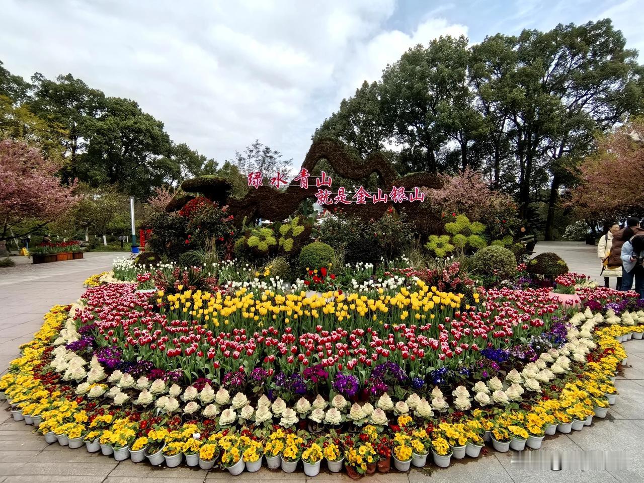 重庆南山植物园郁金香城市花市随手拍 春城花展