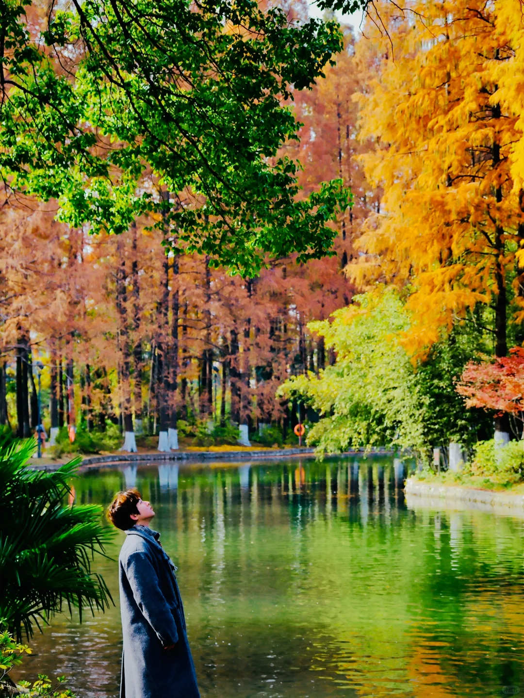 武汉｜这个公园你不宣传你糊涂啊！