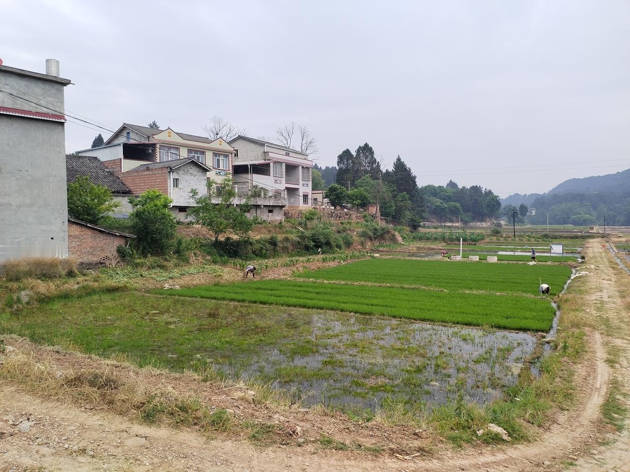 同为古稀之年，生活却不同

亲家，两儿子20多年前就都去广州打工去了，家里只剩下